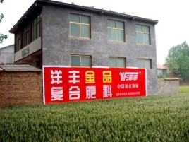 石渠如何让墙体广告展现最大化效果