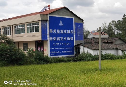 石渠决定墙体广告价格的因素有哪些?